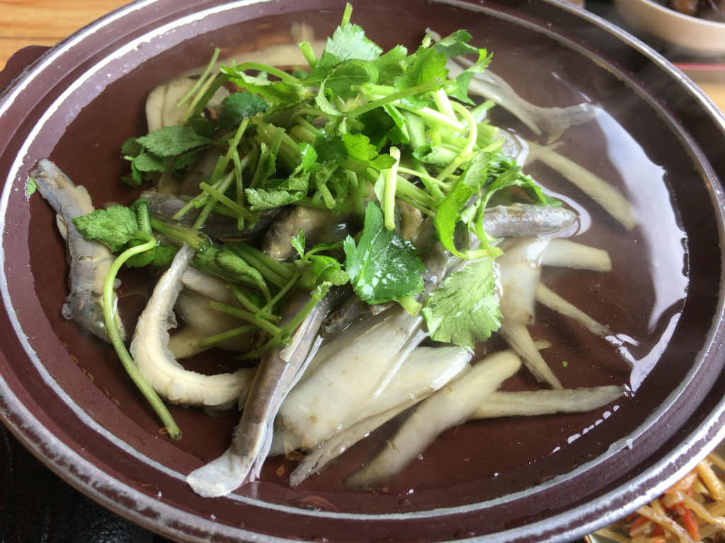 どじょうの味ってどんな味 安来のどじょう亭にどじょうを食べに行ってみた Skがこの先 生き残るには