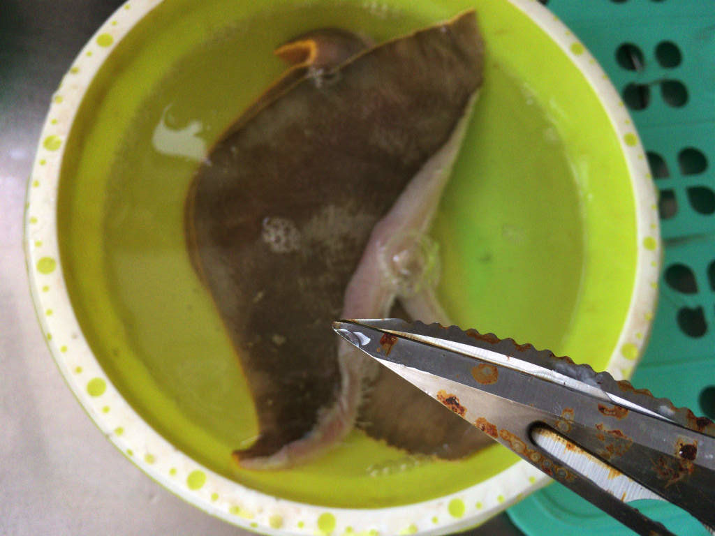 釣ったアカエイを料理して食べてみた その味は Skがこの先 生き残るには