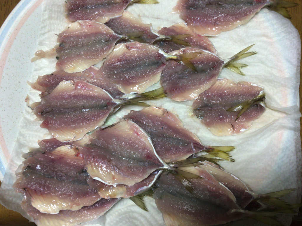 豆アジで干物を作るのに挑戦してみた ちょっと大変だけどとても面白い Skがこの先 生き残るには 豆アジで干物を作るのに挑戦してみた ちょっと大変だけどとても面白い Skがこの先 生き残るには