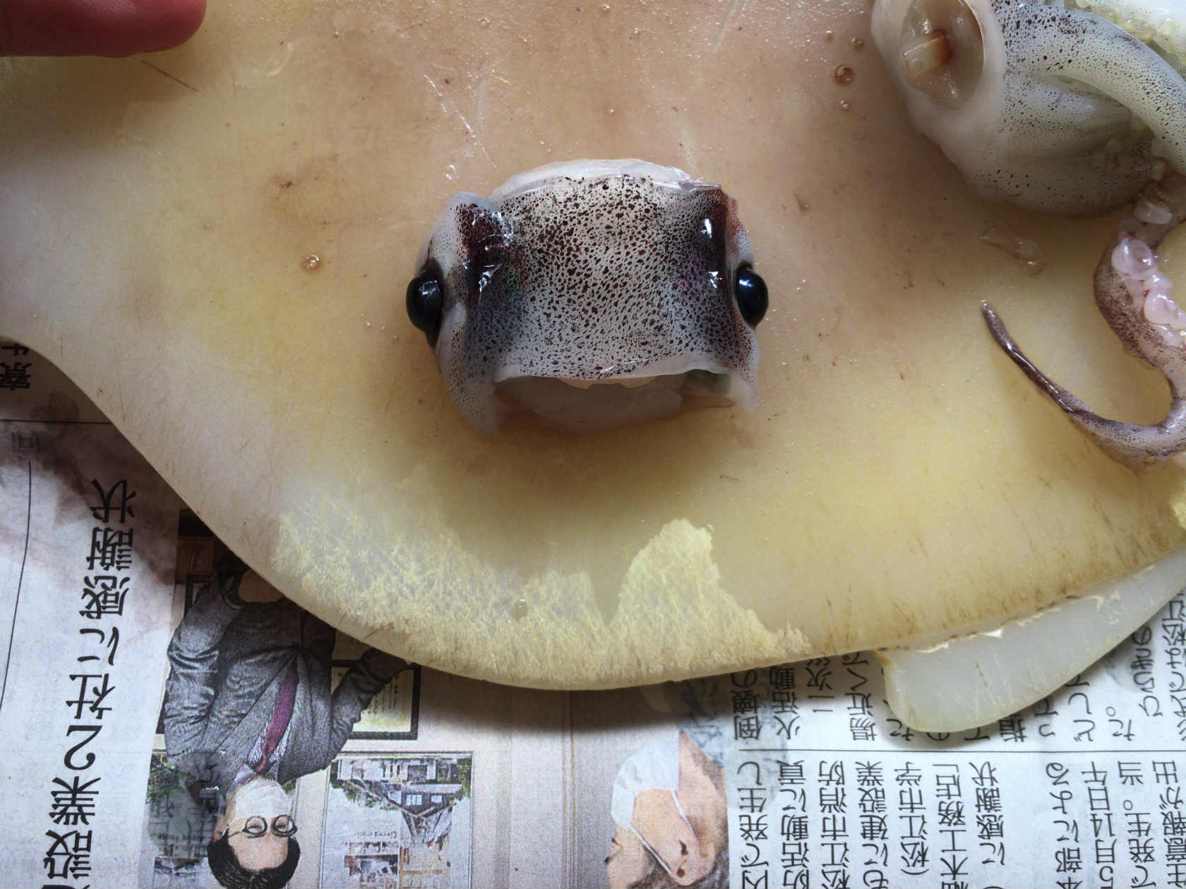 電気圧力鍋を使ったイカ飯の作り方 柔らかくて美味すぎぃ Skがこの先 生き残るには