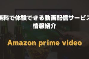 Ps4でamazonビデオを見ようと思ったら手こずった話 Skがこの先 生き残るには