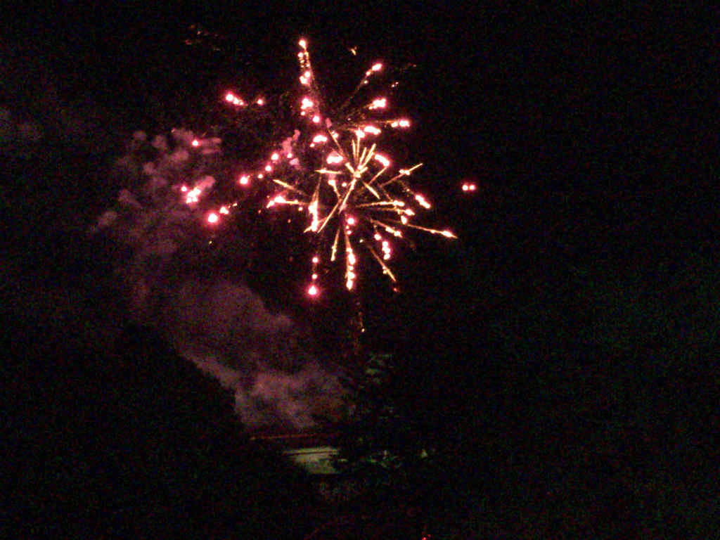 とっとり花回廊の冬のイルミネーションを見に行ってきました 今年もきれいですよ Skがこの先 生き残るには